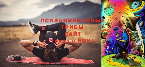 герыч Дубовка