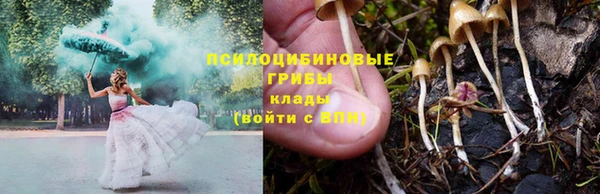 2c-b Нягань
