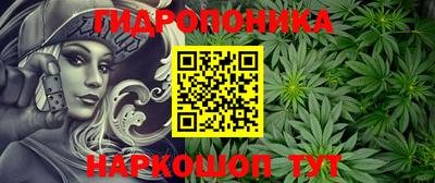 дмт Новодвинск