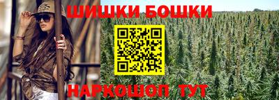 дмт Новодвинск