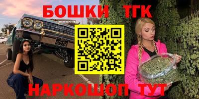 дмт Новодвинск