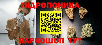 дмт Новодвинск