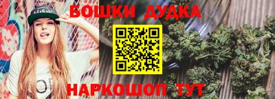 дмт Новодвинск