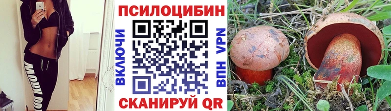 закладка  Сегежа  Псилоцибиновые грибы Psilocybine cubensis 