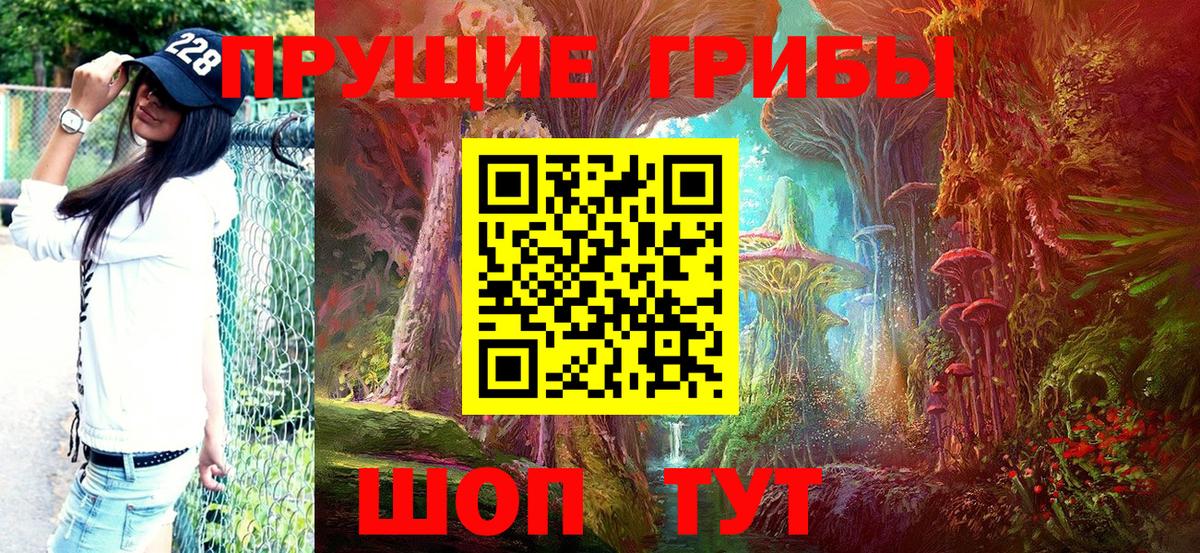 Галлюциногенные грибы Psilocybine cubensis Сегежа